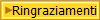 Ringraziamenti